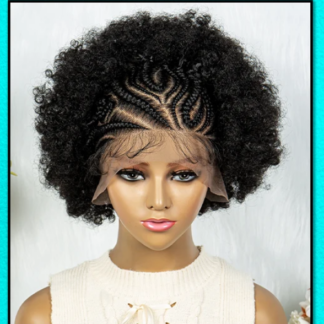 10” 13x6 Lace Front Kinky Curly Afro Wig – Ultra-Realistic, Luxury Human Hair with Baby Hair