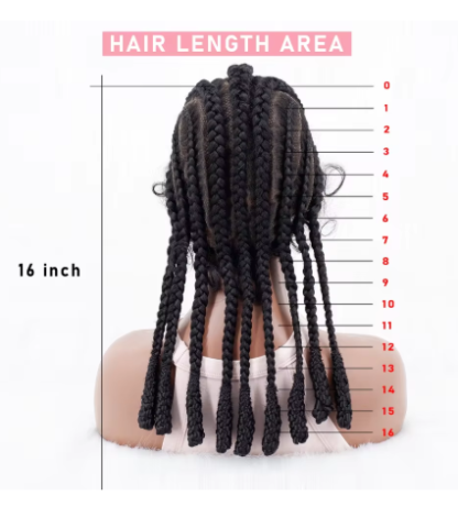 16Inch Full Lace "GANJA Design" Cornrow Braided Wigs with Baby Hair - Image 6